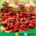 2016 new crop products goji berry hot sell in EU